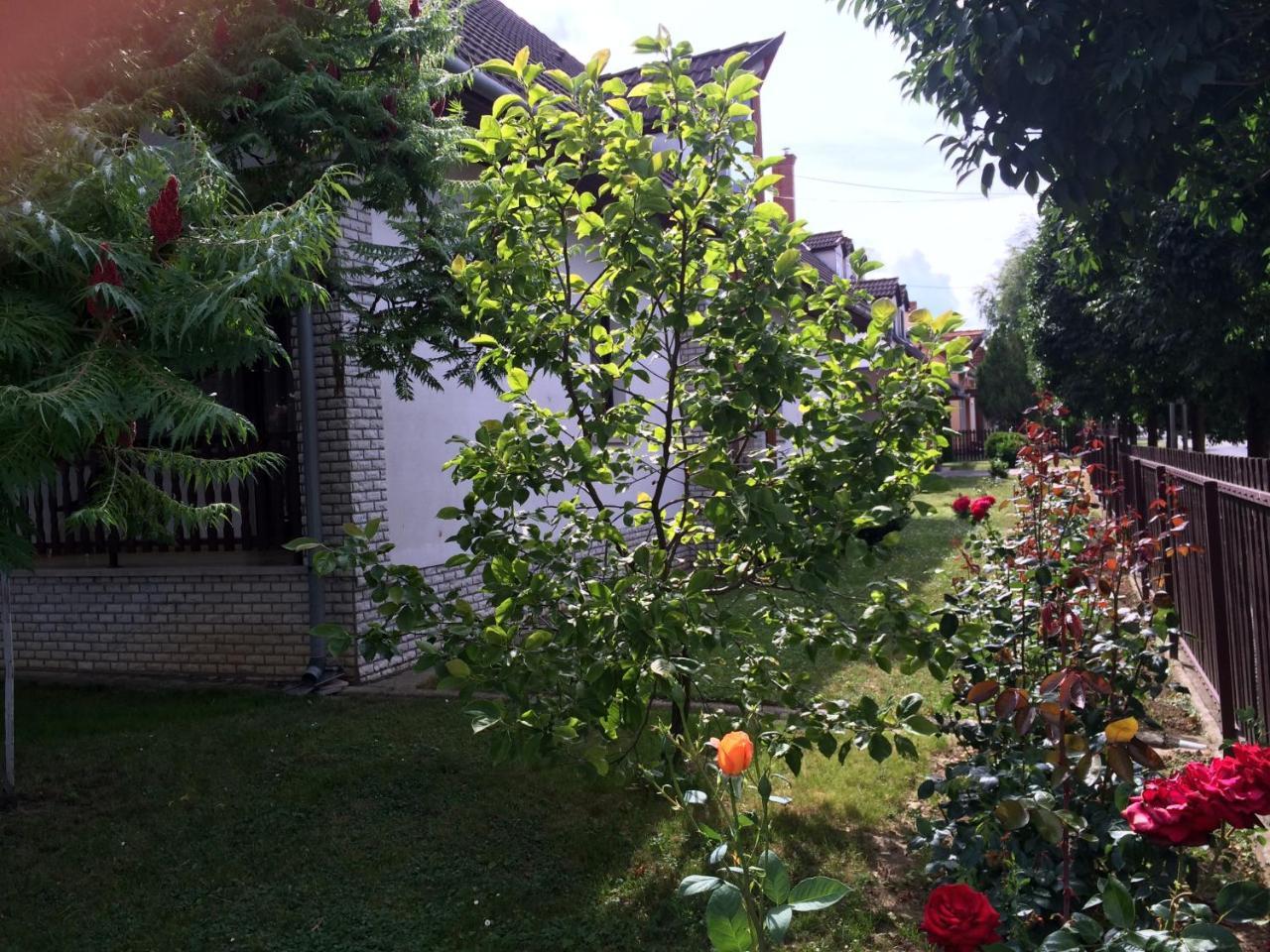 Koller Panzió Bonyhád Exterior foto